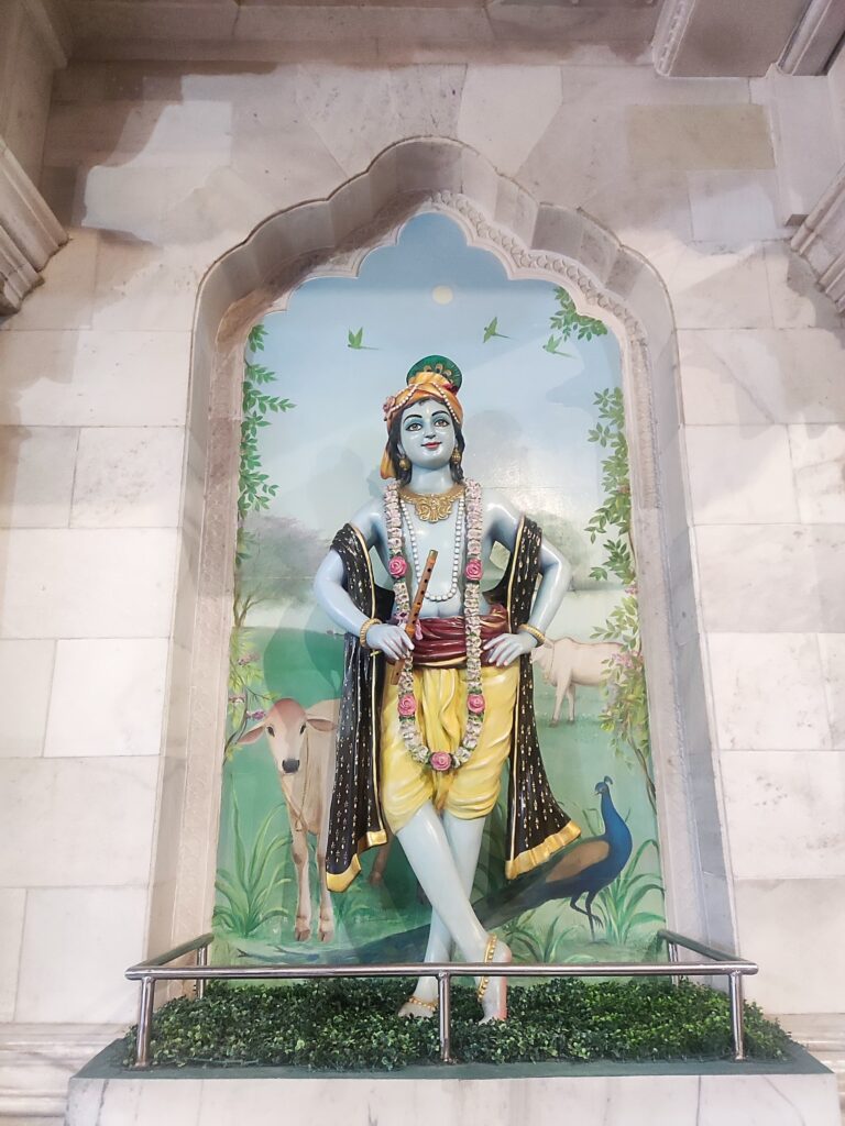 Divine banke bihari iskcon